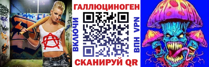 площадка клад  Миасс  Галлюциногенные грибы Psilocybine cubensis 